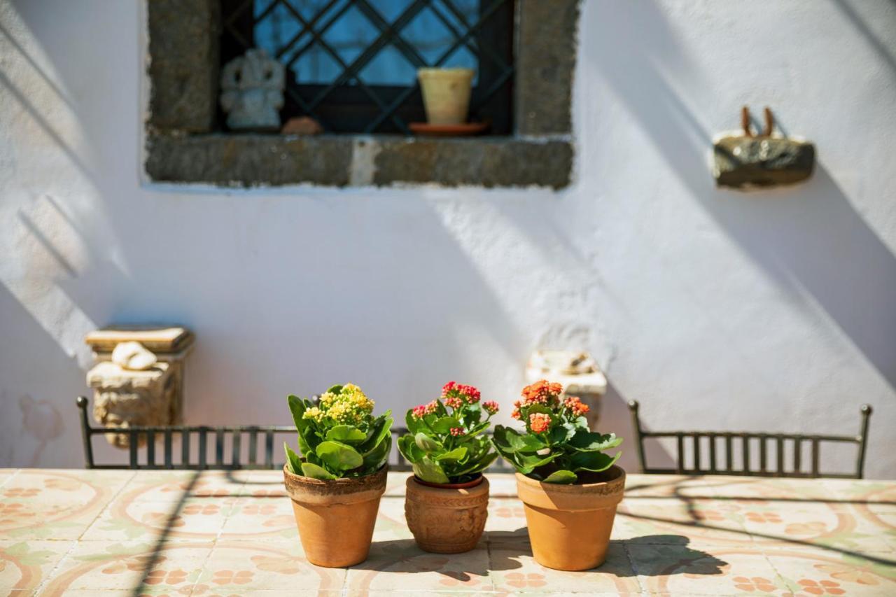 Casa de Férias Etnalodge Piedimonte Etneo